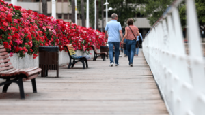 valencia pont de les flors