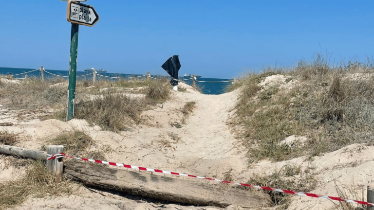 playa el saler pasarelas accesos