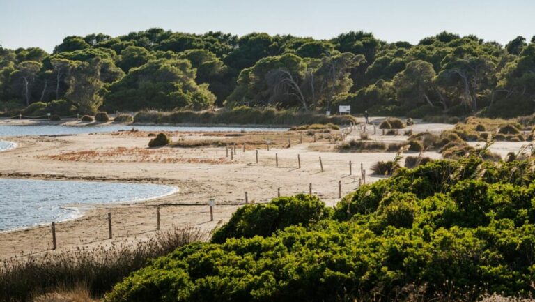 cañones El Saler