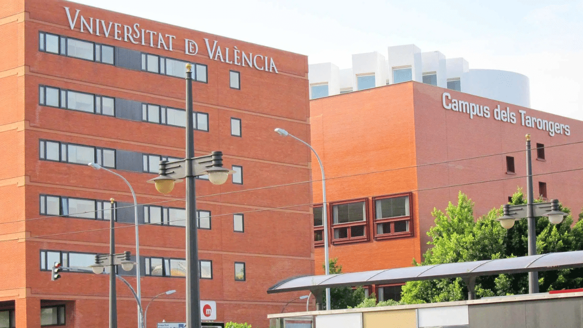 becas manuela solis universidades valencia