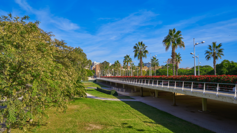 valencia puente de las flores detenido hombre