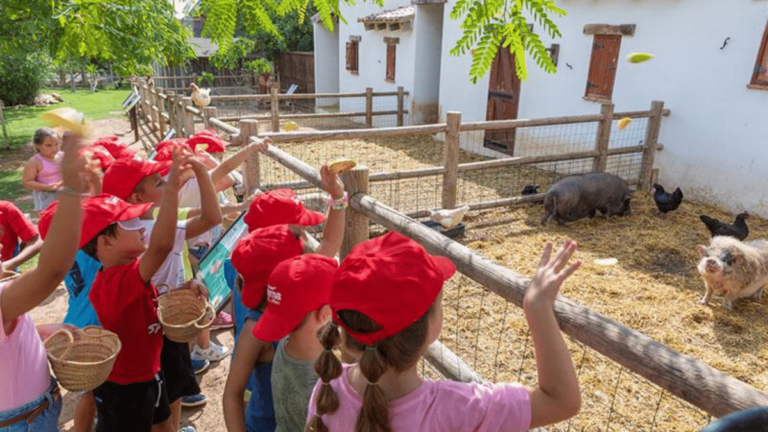 escuela verano paterna