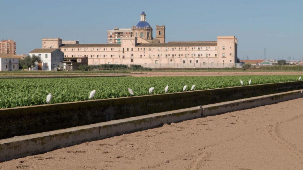 plan urbanizacion san miguel reyes valencia (1)