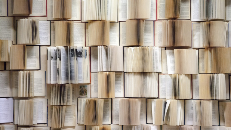 valencia dia libro