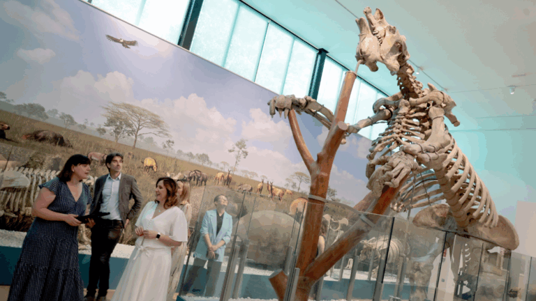 valencia paleantologic museo ciencias naturales
