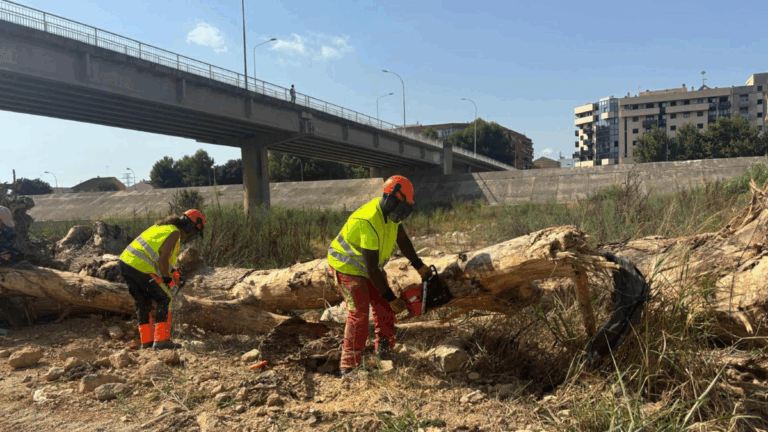 limpieza cauce turia valencia