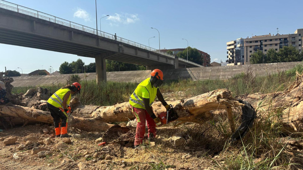 limpieza cauce turia valencia