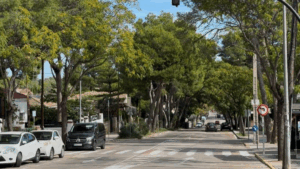 paterna plan transforma canyada cañada