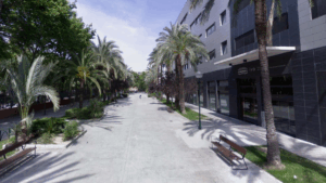 valencia ampliacion ivo