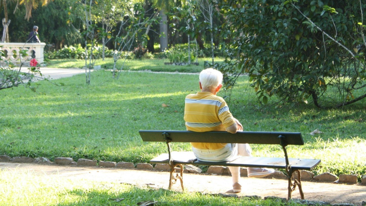 poblacion mayores valencia