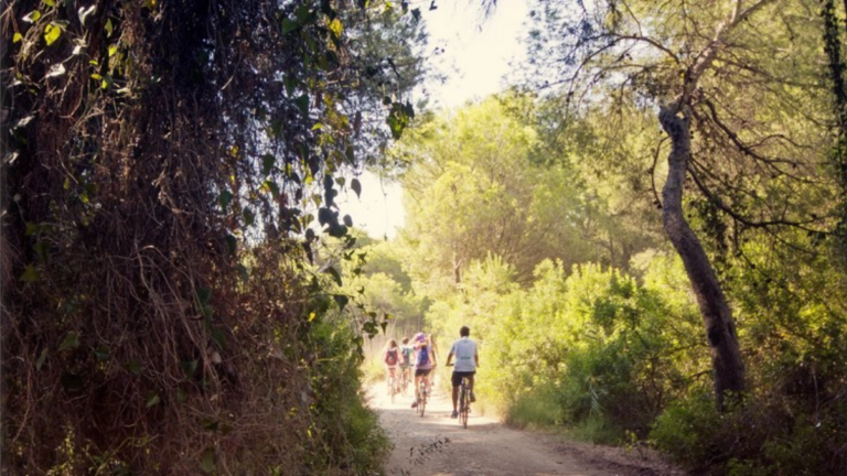 actividades navidad devesa albufera valencia