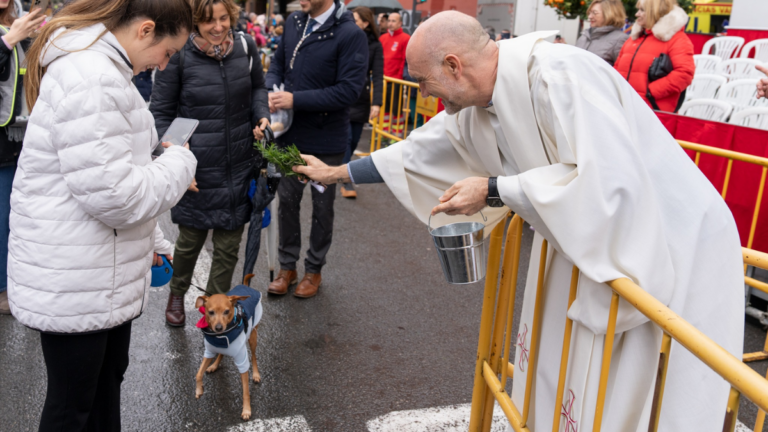 san antonio abad valencia 2026