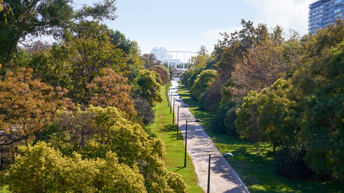 Valencia tendrá un nuevo bosque metropolitano de 80 hectáreas al prolongar el Jardín del Turia