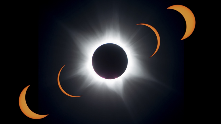 exposicion inmersiva valencia eclipse